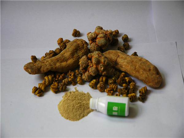 蔡氏草本抑菌粉鼻炎喷剂